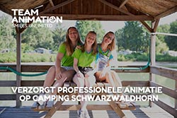 Animatie